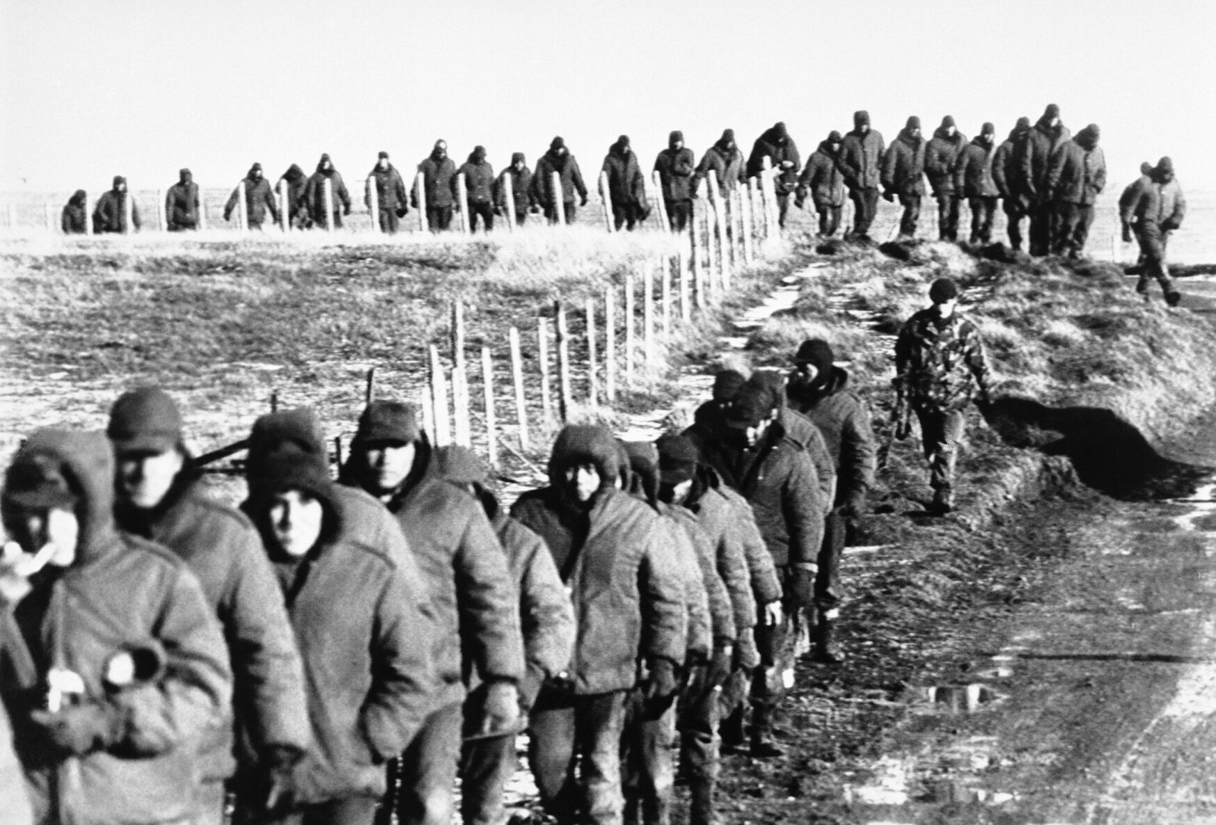 1982: The Falkland Islands
